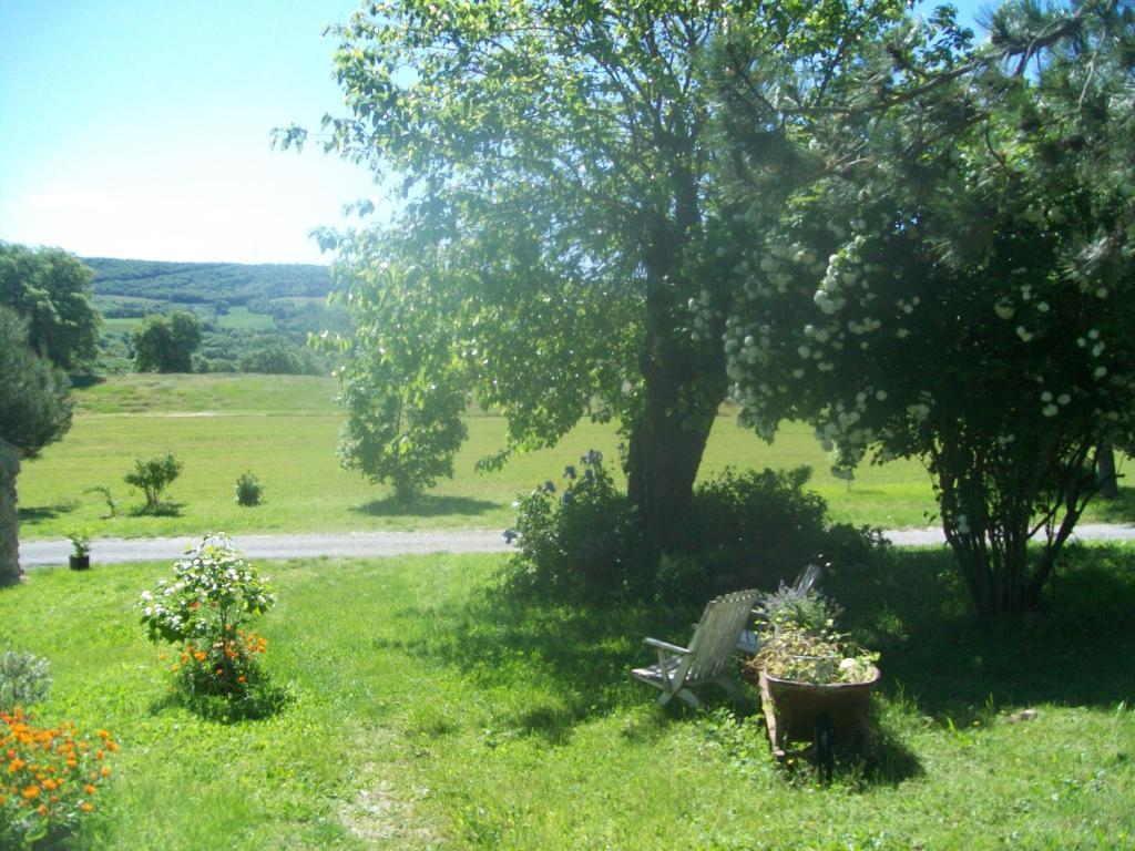 Chambre D'Hotes La Margotte Forcalquier Exterior photo